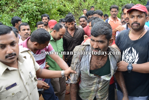 transporting cattle 1